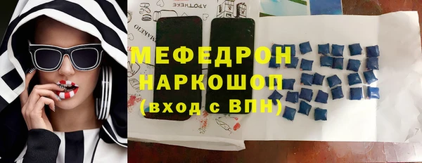 шишки Галич