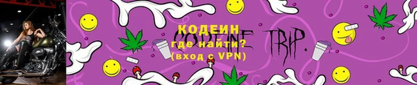 ГАЛЛЮЦИНОГЕННЫЕ ГРИБЫ Покров