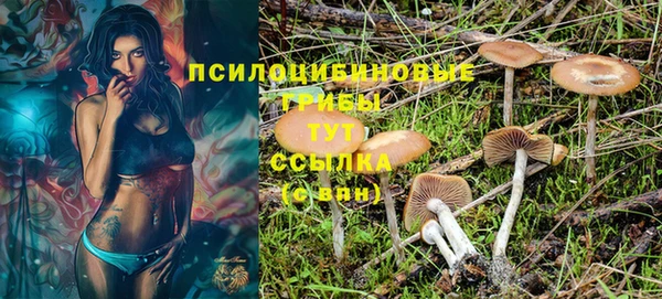MESCALINE Пересвет