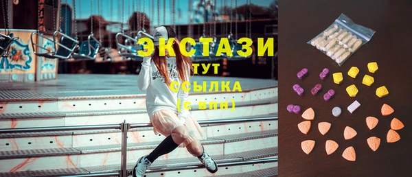 шишки Галич
