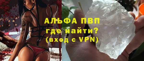 шишки Гвардейск